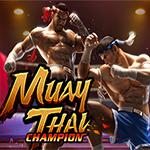 Muay Thai Champion